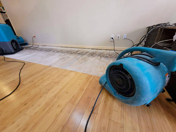 Professional Sewage Cleanup technician working in Dryden, MI