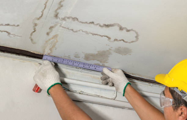 Affordable Sewage Cleanup solutions in Dryden, MI